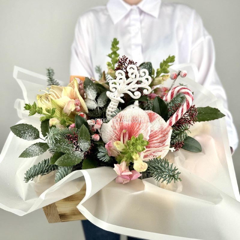 Снежное Восхождение