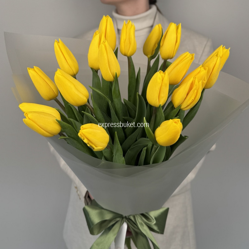 Голландский роман