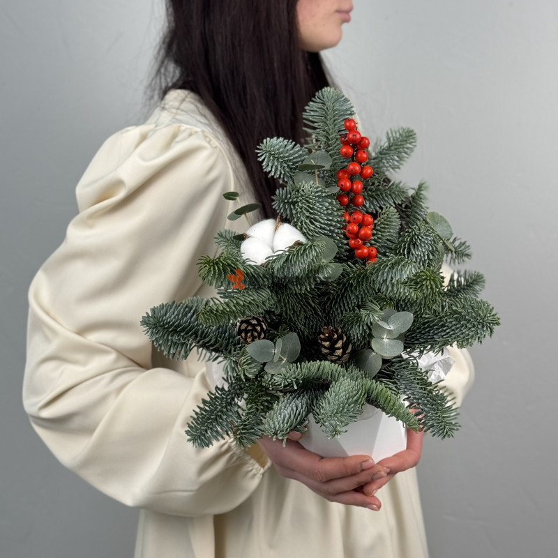 Зимняя композиция в кашпо