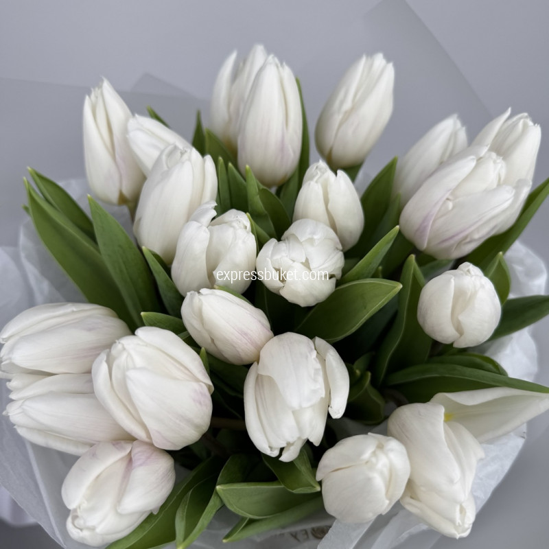 Тюльпаны на 8 марта